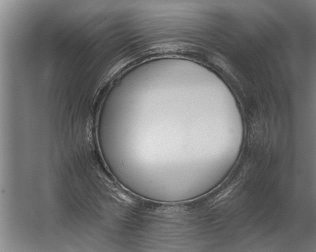 X0000067500778200604211724