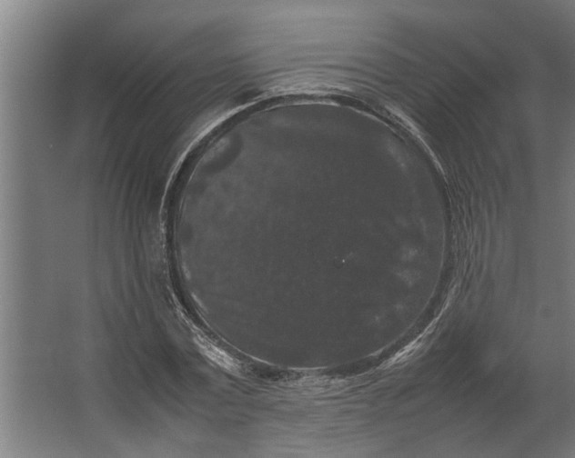 X0000067500779200604211724