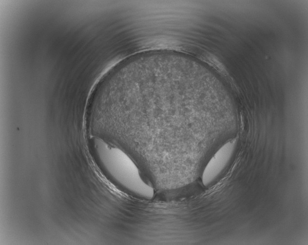 X0000067500780200604211724