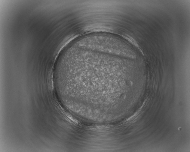 X0000067500782200604211724