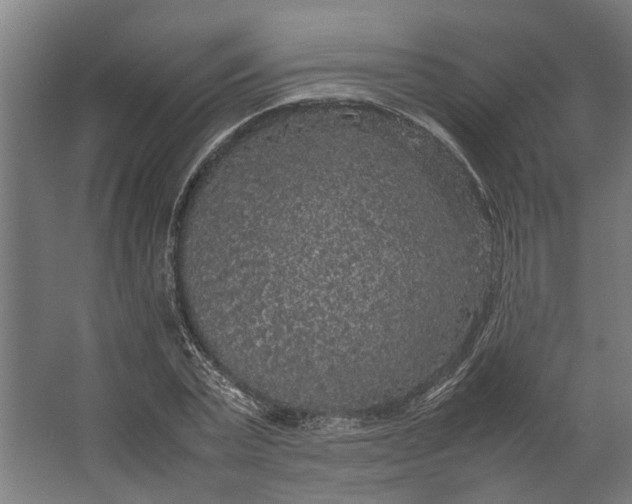 X0000067500783200604211724