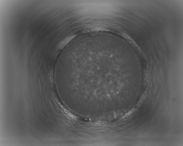 X0000067500785200604211724