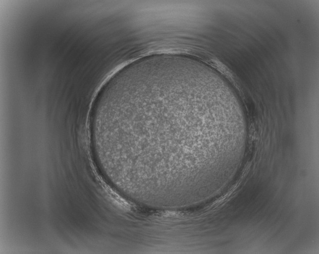 X0000067500787200604211724