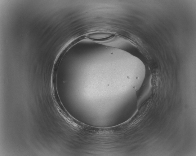 X0000067500788200604211724