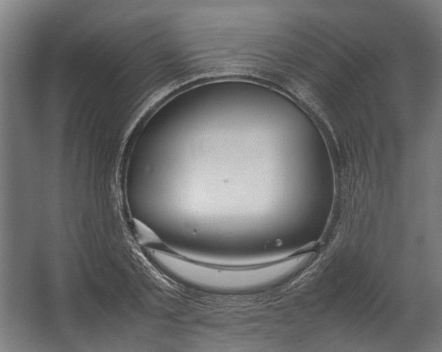 X0000067500789200604211724