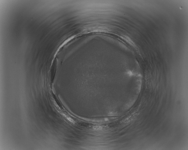 X0000067500790200604211724