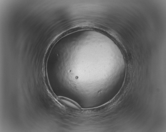 X0000067500791200604211724