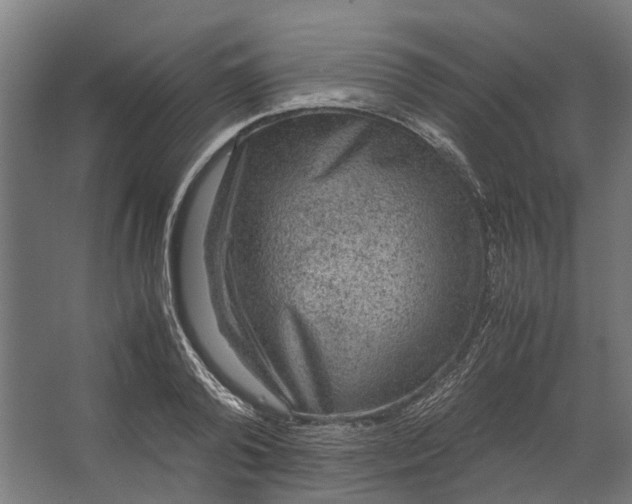 X0000067500792200604211724