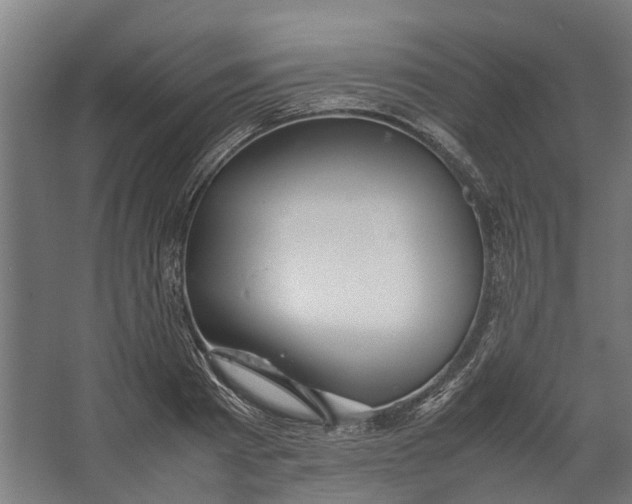 X0000067500793200604211724