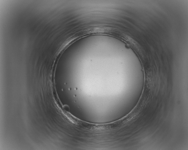 X0000067500794200604211724