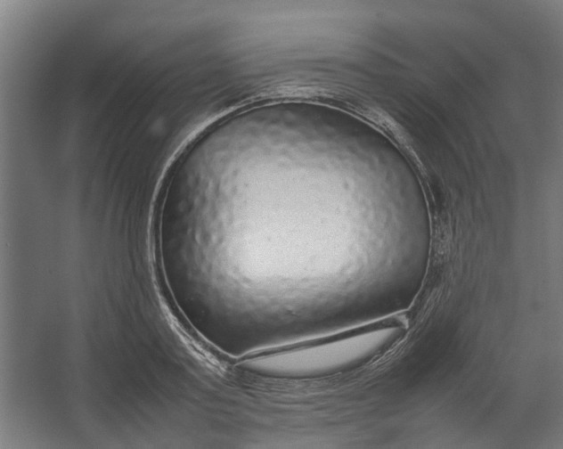 X0000067500795200604211724