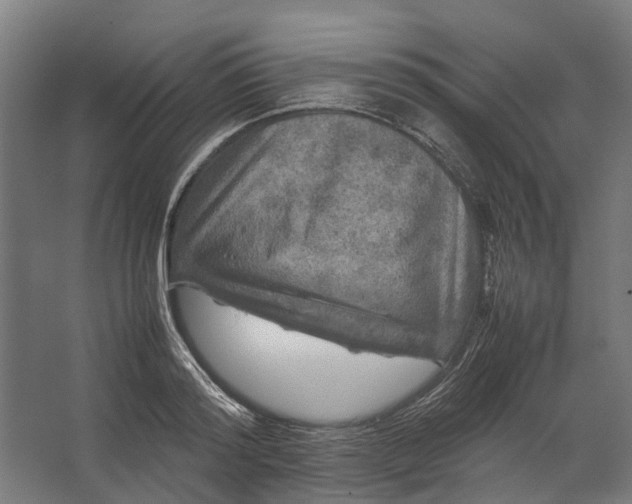 X0000067500796200604211723