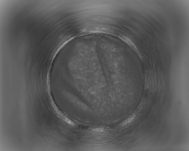 X0000067500798200604211723