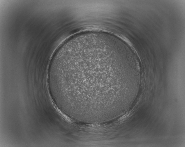 X0000067500799200604211723