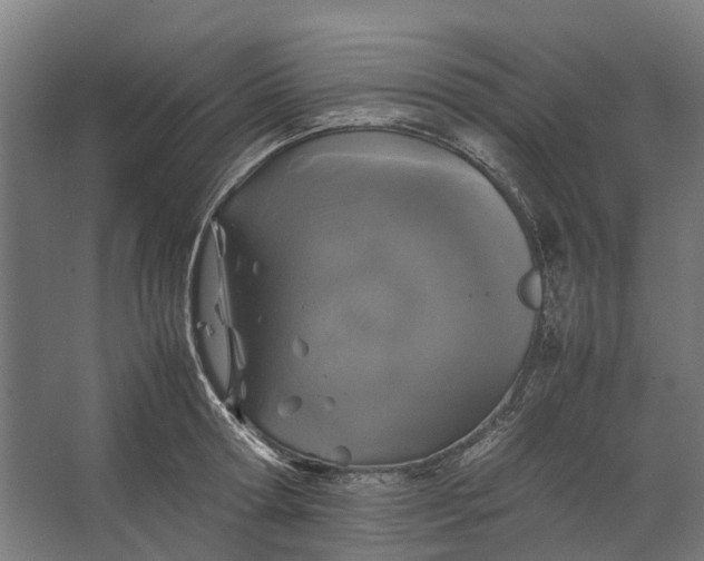 X0000067500802200604211723