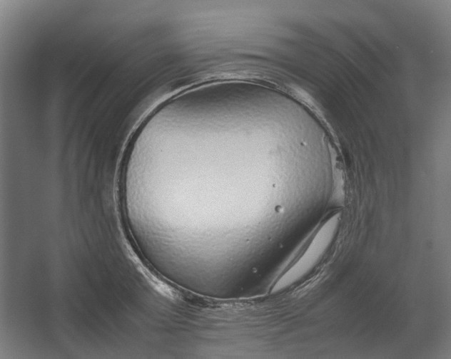 X0000067500803200604211723