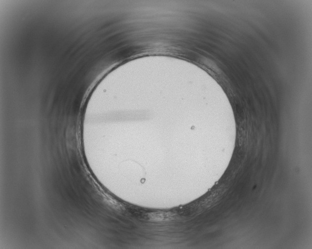 X0000067500804200604211723