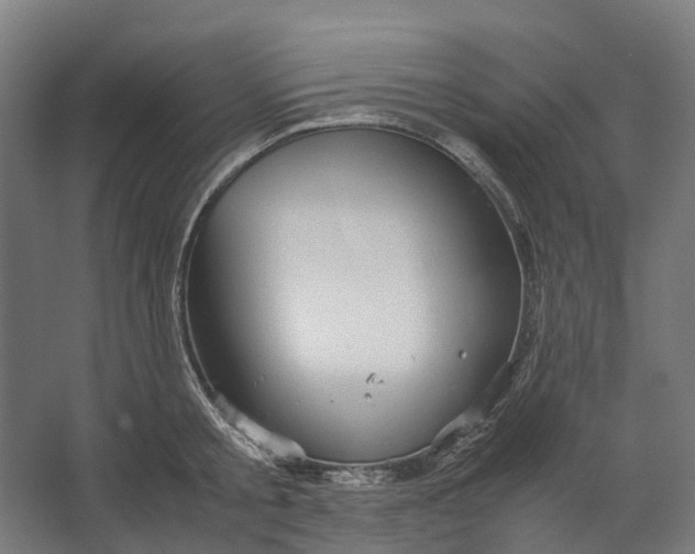 X0000067500805200604211723