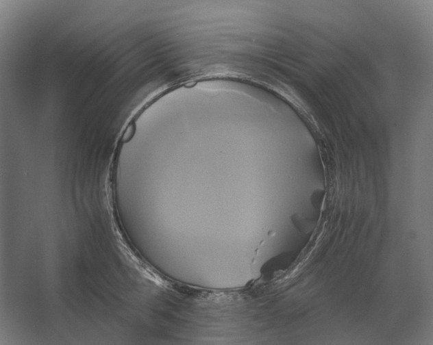 X0000067500806200604211723