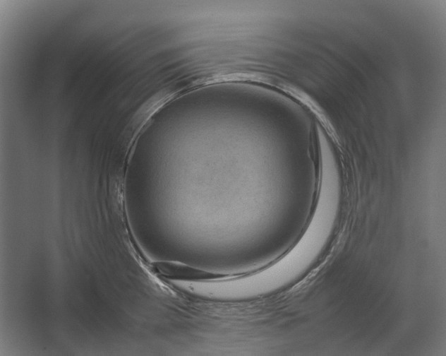 X0000067500809200604211723