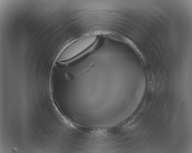 X0000067500810200604211723