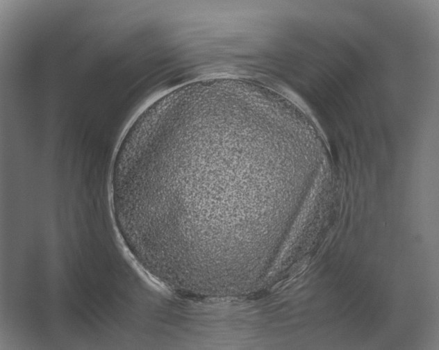 X0000067500811200604211723