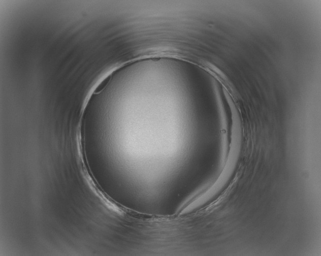 X0000067500812200604211723