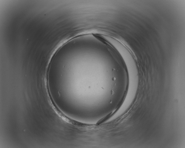 X0000067500813200604211723