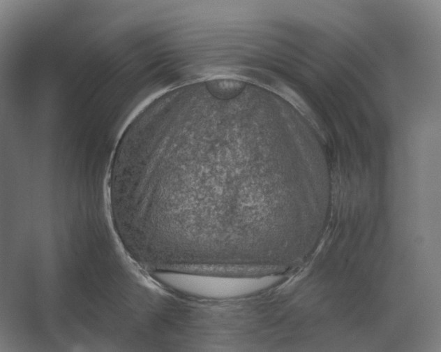 X0000067500814200604211723