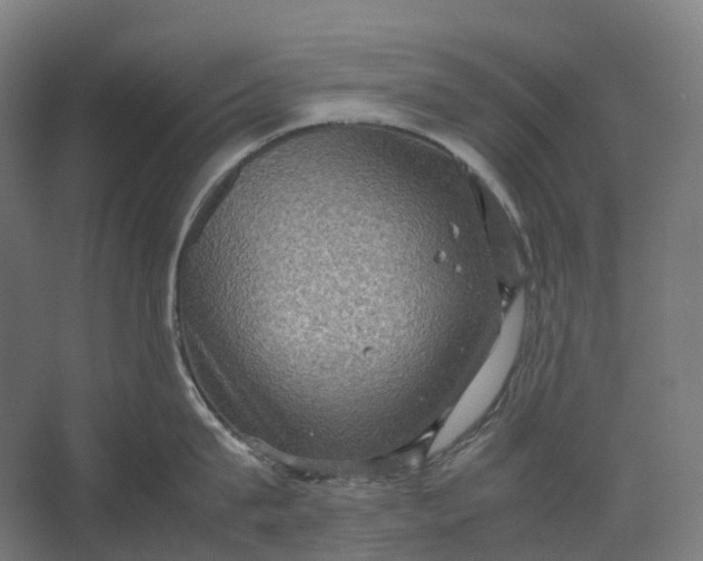 X0000067500815200604211723