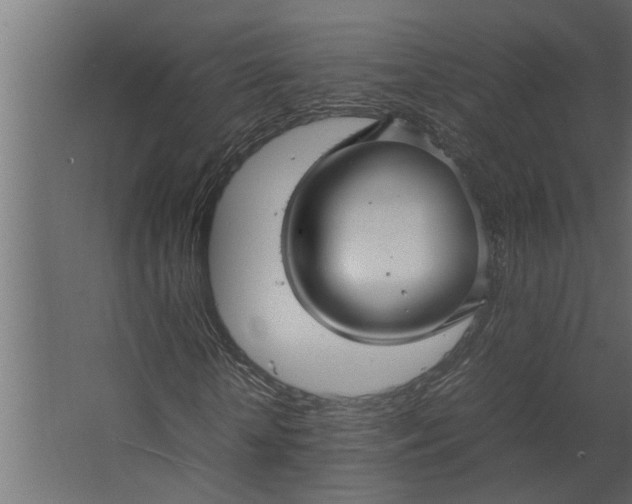 X0000067500818200604211722