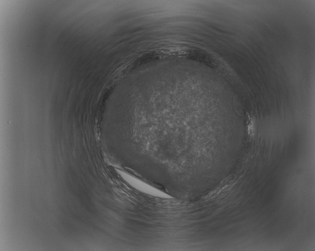 X0000067500819200604211722