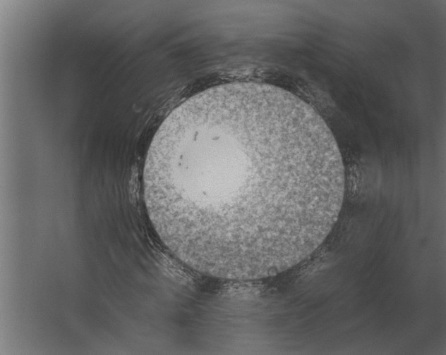 X0000067500820200604211722