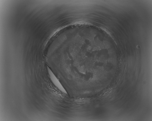 X0000067500823200604211722