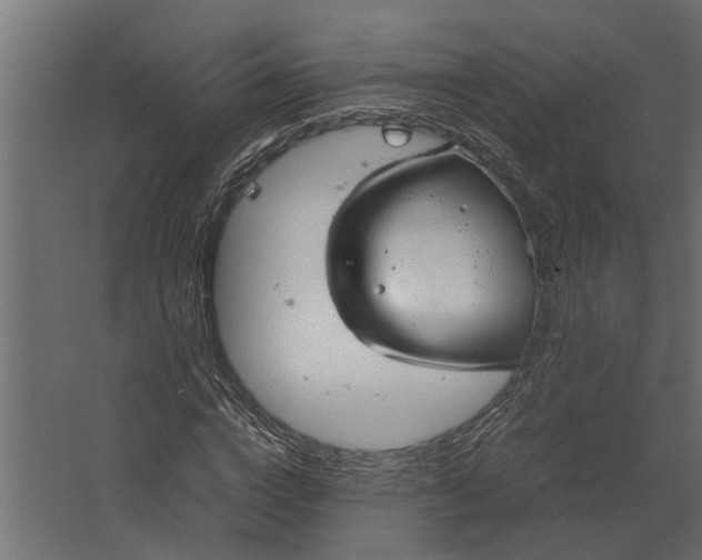 X0000067500824200604211722