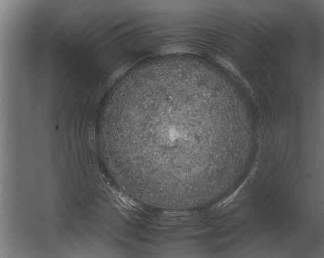 X0000067500825200604211722