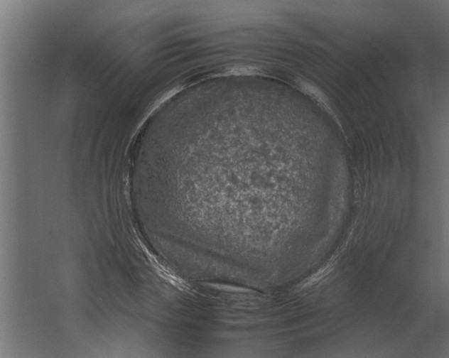 X0000067500827200604211722