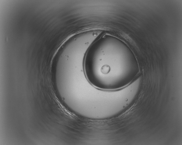 X0000067500828200604211723