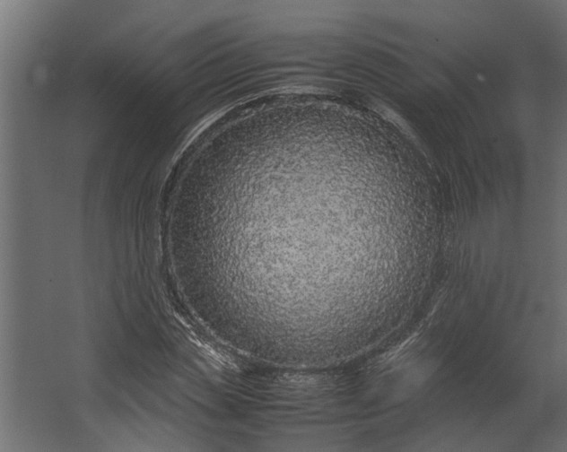 X0000067500829200604211723