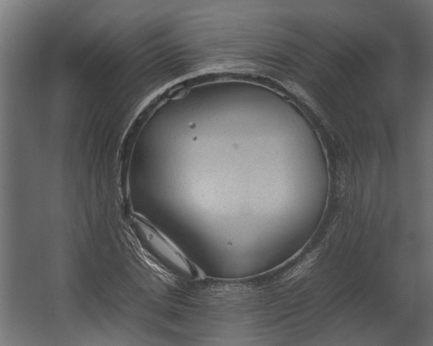 X0000067500830200604211723