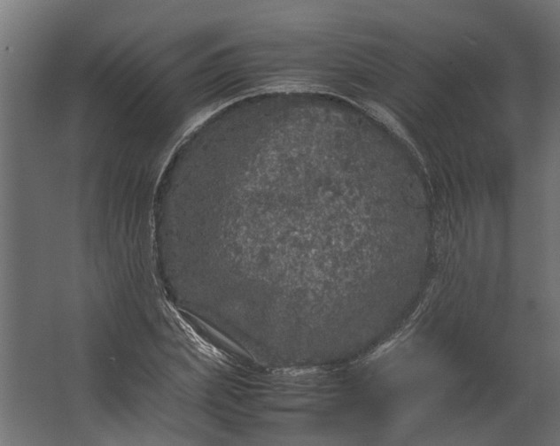 X0000067500831200604211723