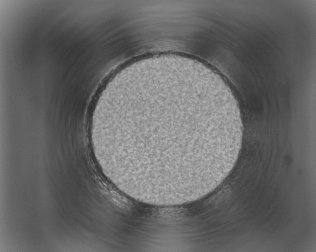 X0000067500832200604211723