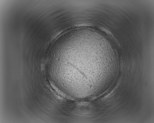 X0000067500833200604211723