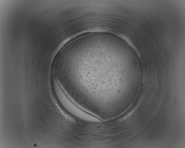 X0000067500837200604211723