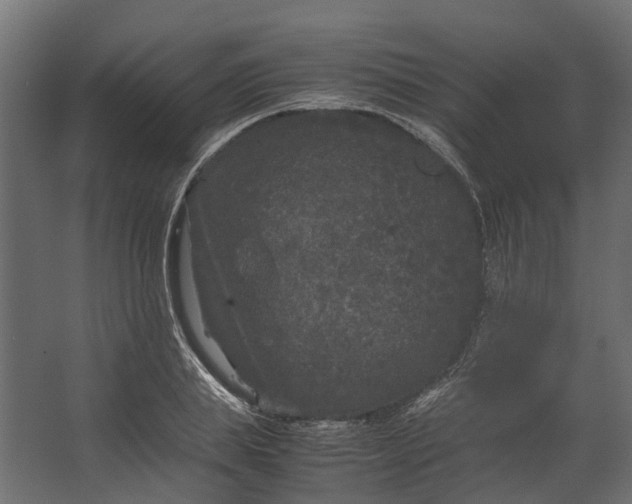 X0000067500839200604211723