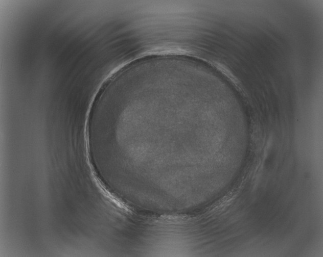 X0000067500840200604211723