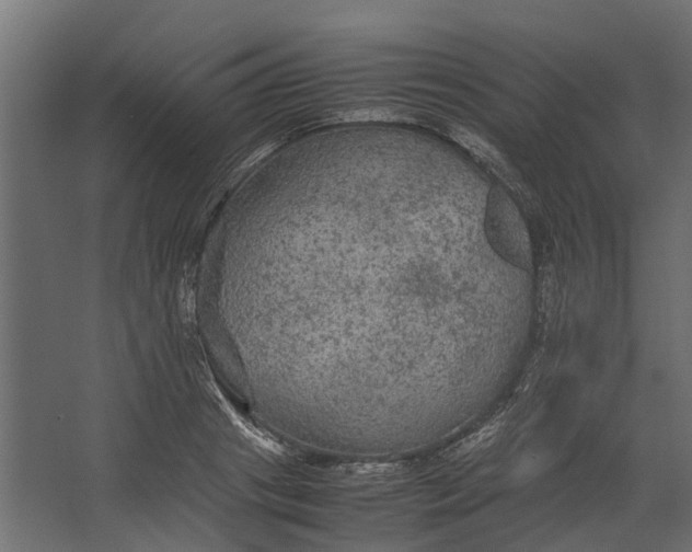 X0000067500841200604211723