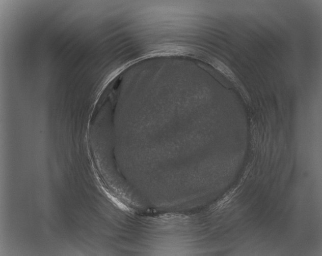 X0000067500842200604211723