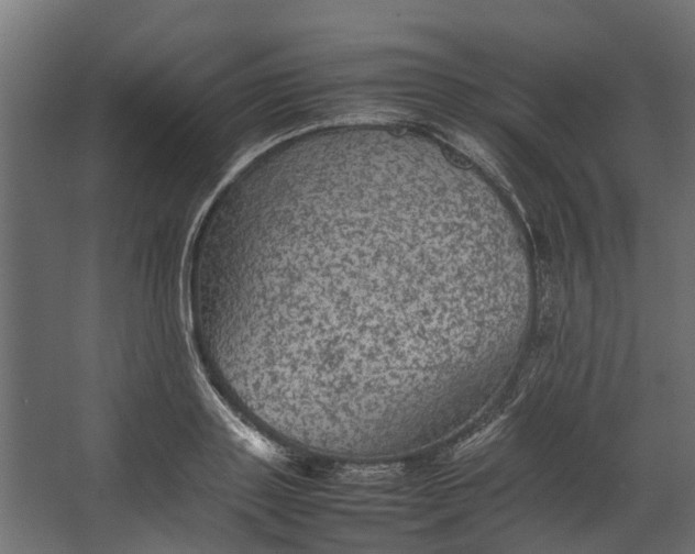 X0000067500843200604211723