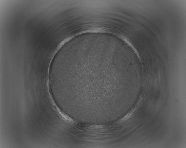 X0000067500845200604211723